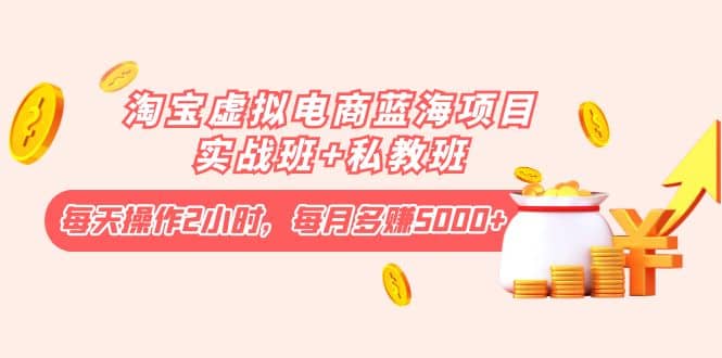 淘宝虚拟电商蓝海项目实战班+私教班-靠谱项目库