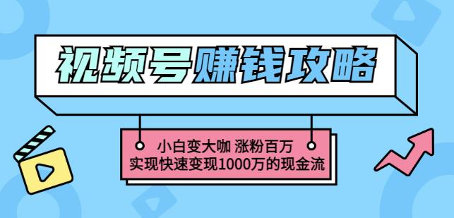 玩转微信视频号赚钱：小白变大咖涨粉百万实现快速变现1000万的现金流-靠谱项目库