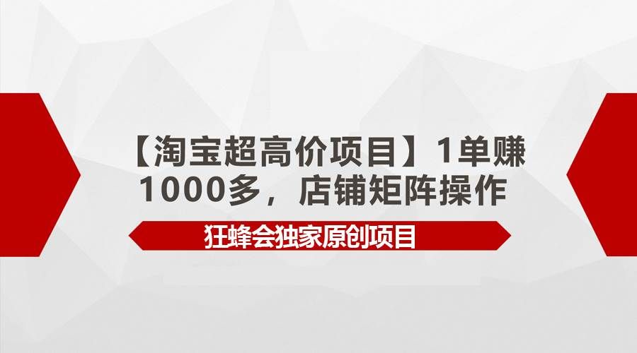 （9849期）【淘宝超高价项目】1单赚1000多，店铺矩阵操作-靠谱项目库