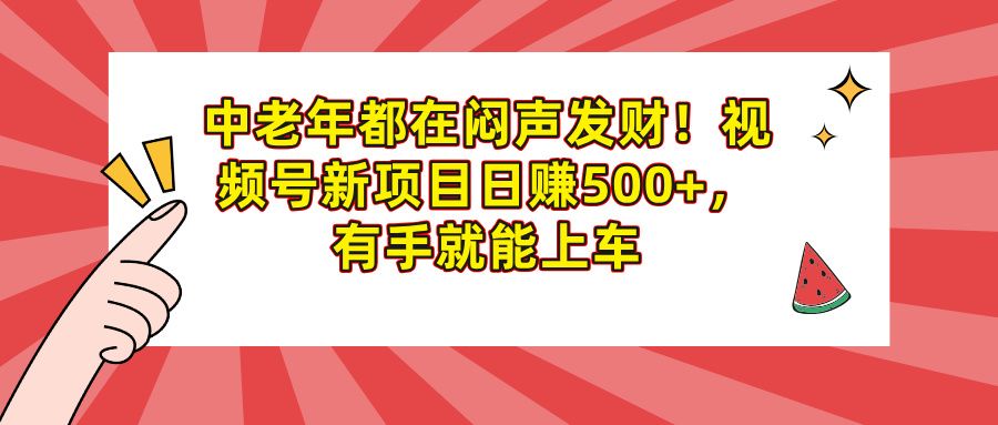 中老年都在闷声发财！视频号新项目日赚500+，有手就能上车-靠谱项目库