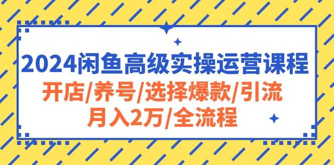 2024闲鱼高级实操运营课程：开店/养号/选择爆款/引流/月入2万/全流程-靠谱项目库