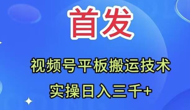 全网首发：视频号平板搬运技术，实操日入三千＋-靠谱项目库