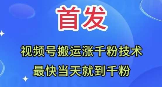 全网首发：视频号无脑搬运涨千粉技术，最快当天到千粉【揭秘】-靠谱项目库