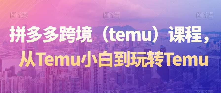 拼多多跨境（temu）课程，从Temu小白到玩转Temu-靠谱项目库