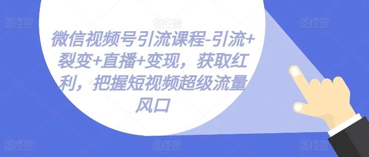 微信视频号引流课程-引流+裂变+直播+变现，获取红利，把握短视频超级流量风口-靠谱项目库