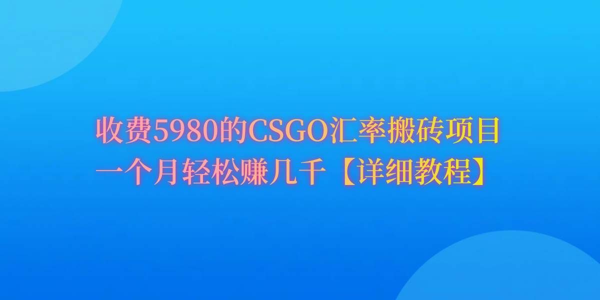 （9776期）CSGO装备搬砖，月综合收益率高达60%，你也可以！-靠谱项目库