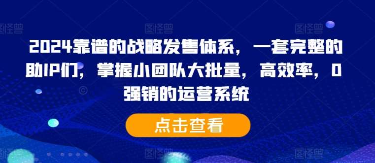 2024靠谱的战略发售体系，一套完整的助IP们，掌握小团队大批量，高效率，0 强销的运营系统-靠谱项目库