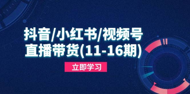 （14611期）抖音/小红书/视频号/直播带货(11-16期)，快速掌握平台规则，打造爆款内容-靠谱项目库