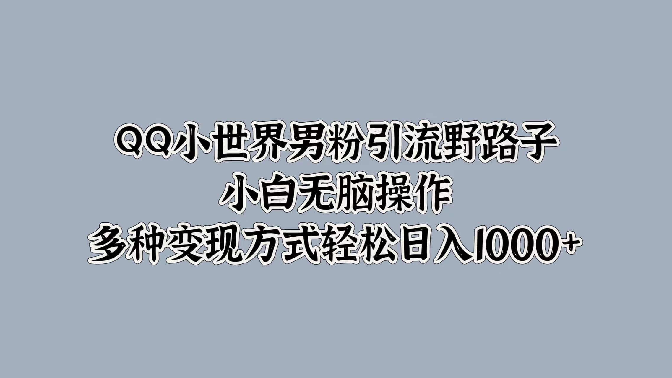 QQ小世界男粉引流野路子，小白无脑操作，多种变现方式轻松日入1000+-靠谱项目库