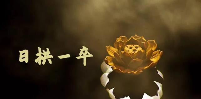 无脑搬砖，普通人可以复制的副业赚钱项目(附软件)-靠谱项目库