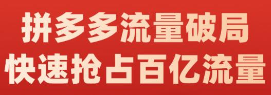阿杰·拼多多流量破局:如何打黑标，爆款的思路，拼多多流量框架，快速抢占百亿流量-靠谱项目库