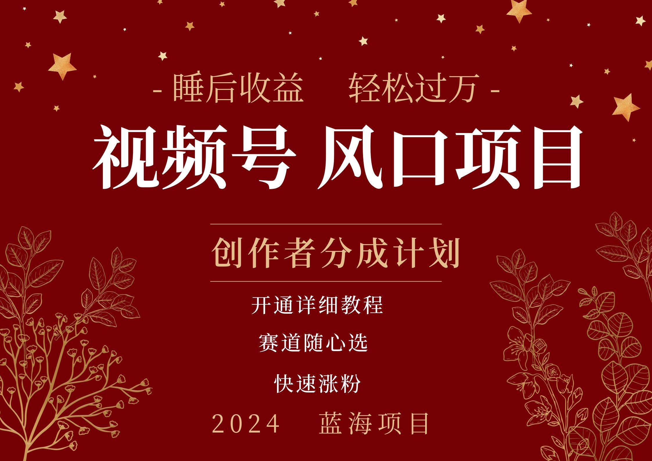 拥有睡眠收益的微信视频号大风口项目，轻松月入过万+，多赛道选择，可矩阵，玩法简单轻松上手-靠谱项目库