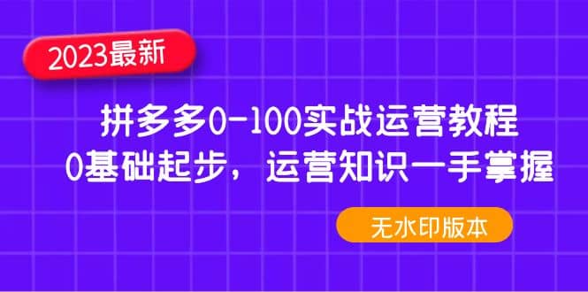 2023拼多多0-100实战运营教程，0基础起步，运营知识一手掌握（无水印）-靠谱项目库