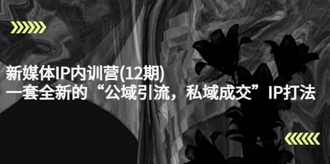新媒体IP内训营(12期)，一套全新的“公域引流，私域成交”IP打法，直接带走-靠谱项目库
