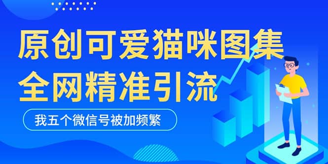 黑科技纯原创可爱猫咪图片，全网精准引流，实操5个VX号被加频繁-靠谱项目库