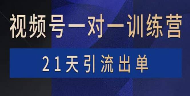 视频号训练营：带货，涨粉，直播，游戏，四大变现新方向，21天引流出单-靠谱项目库