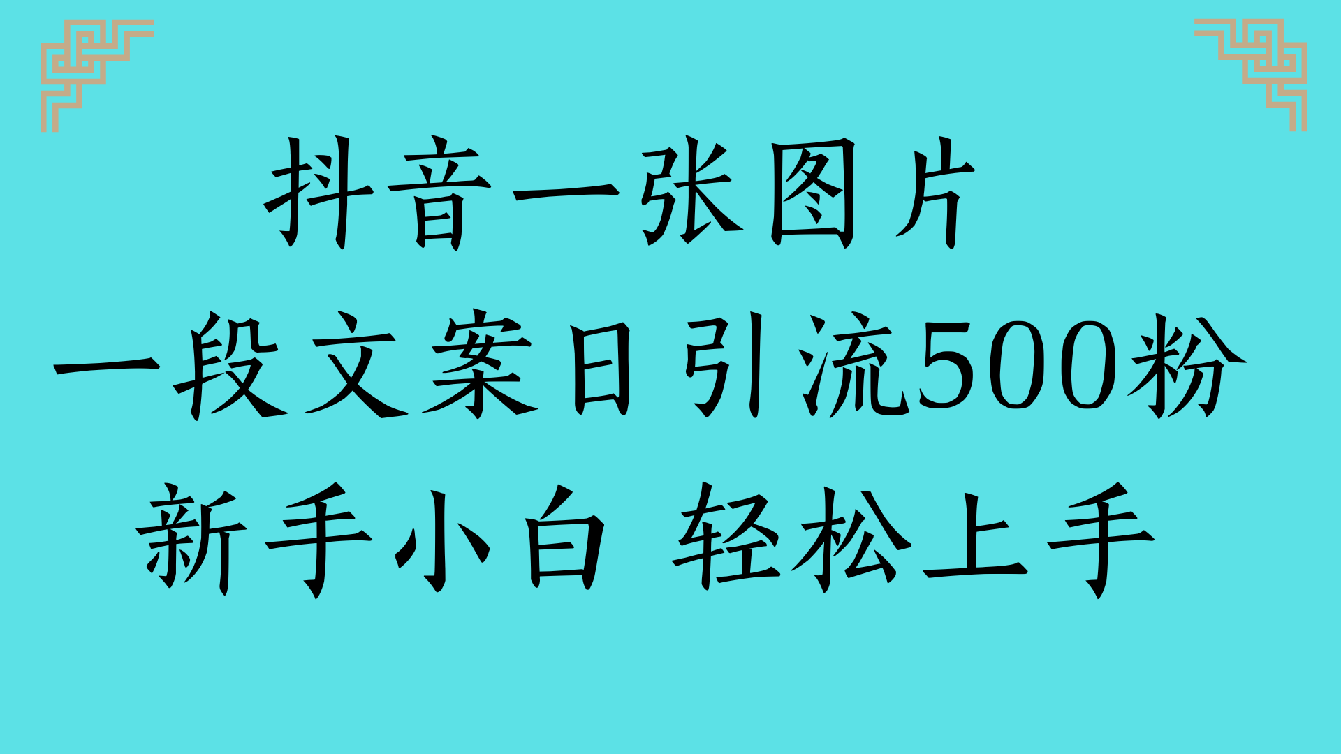 抖音一张图片 一段文案日引流500粉新手小白 轻松上手-靠谱项目库