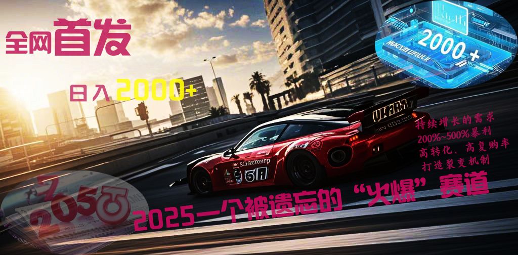 全网首发：2025一个被遗忘的“火爆”赛道轻松日入2000+-靠谱项目库