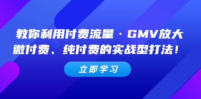教你利用付费流量·GMV放大，微付费、纯付费的实战型打法-靠谱项目库