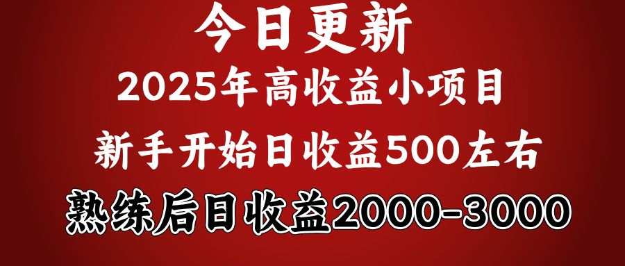 2025开年好项目，新手日收益500+ 熟练掌握后，日收益平均2000多-靠谱项目库