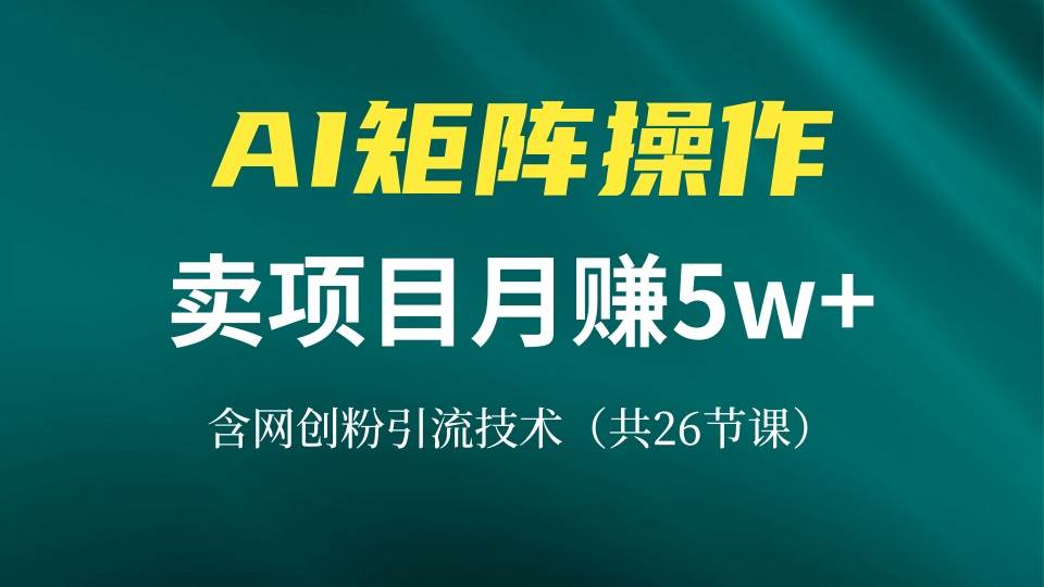 （13335期）网创IP打造课，借助AI卖项目月赚5万+，含引流技术（共26节课）-靠谱项目库