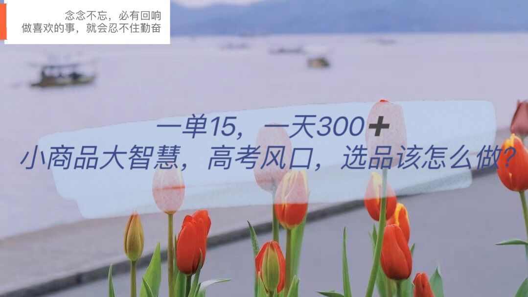 一单15，一天300+，小商品大智慧，高考风口，选品该怎么布局-靠谱项目库