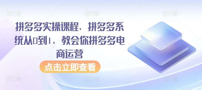 拼多多实操课程，拼多多系统从0到1，教会你拼多多电商运营-靠谱项目库