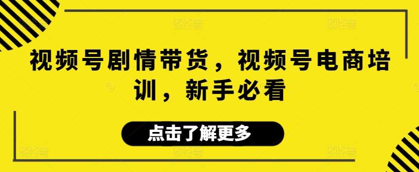 视频号剧情带货，视频号电商培训，新手必看-靠谱项目库