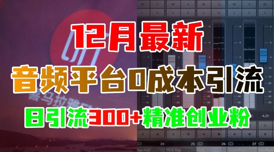 12月最新：音频平台0成本引流，日引300+精准创业粉-靠谱项目库
