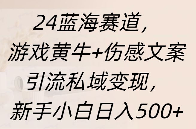24蓝海赛道，游戏黄牛+伤感文案引流私域变现，新手日入500+-靠谱项目库
