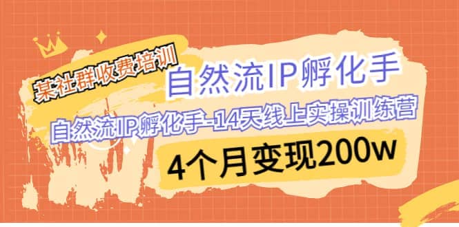 某社群收费培训：自然流IP 孵化手-14天线上实操训练营 4个月变现200w-靠谱项目库