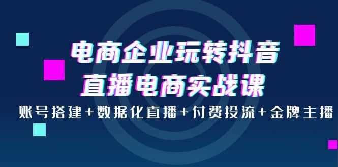电商企业玩转抖音直播电商实战课：账号搭建+数据化直播+付费投流+金牌主播-靠谱项目库