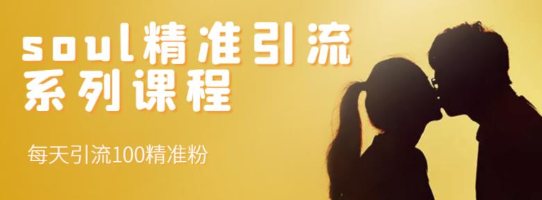 soul精准引流系列课程，每天引流100精准粉-靠谱项目库