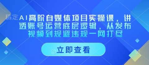AI高阶自媒体项目实操课，讲透账号运营底层逻辑，从发布视频到规避违规一网打尽-靠谱项目库