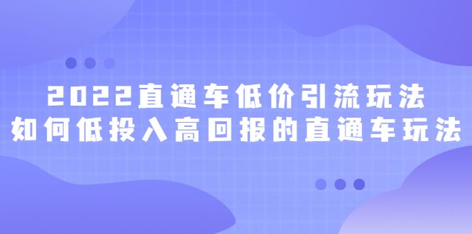 2022直通车低价引流玩法，教大家如何低投入高回报的直通车玩法-靠谱项目库