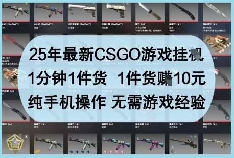 25年最新CSGO游戏挂G，1分钟1件货，1件货挣10元，纯手机操作，无需游戏经验【揭秘】-靠谱项目库