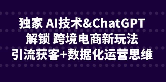 独家 AI技术ChatGPT解锁 跨境电商新玩法，引流获客+数据化运营思维-靠谱项目库