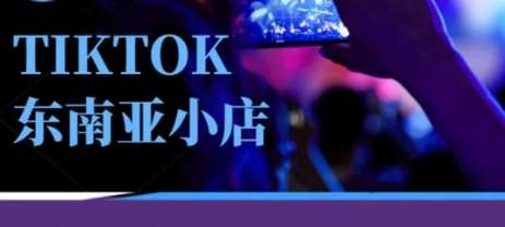 Tiktok东南亚跨境小店运营班，一门专业的TK小店运营培训课-靠谱项目库
