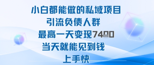 2025年小白都能做的私域项目引流负债人群最高一天变现1k+高变现难度低当天就能见到钱上手快-靠谱项目库