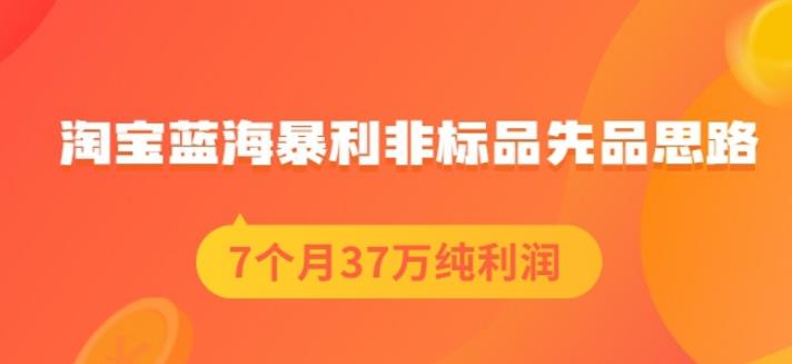 盗坤淘宝蓝海暴利非标品先品思路，7个月37万纯利润，压箱干货分享！【付费文章】-靠谱项目库