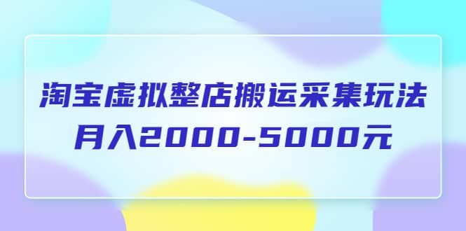 淘宝虚拟整店搬运采集玩法分享课：月入2000-5000元（5节课）-靠谱项目库