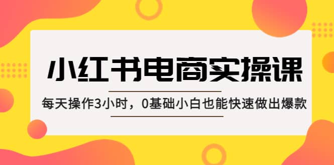 小红书·电商实操课：每天操作3小时，0基础小白也能快速做出爆款-靠谱项目库