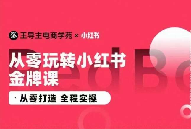 王导主·小红书电商运营实操课，​从零打造  全程实操-靠谱项目库
