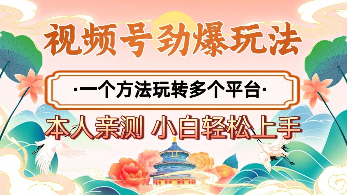 2025年视频号劲爆玩法，一个方法玩转多个平台 小白也能轻松上手-靠谱项目库