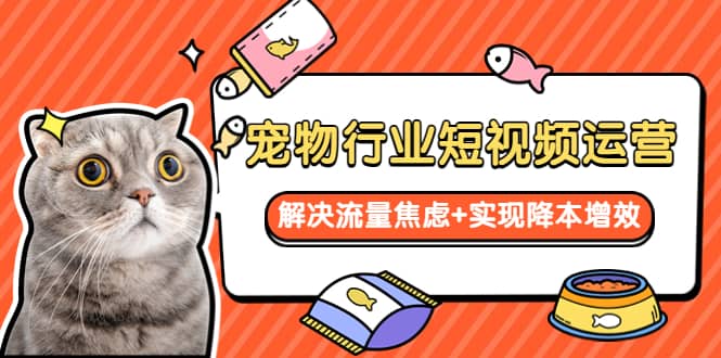 宠物/行业短视频运营 流量增长的一层窗户纸 解决流量焦虑+实现降本增效-靠谱项目库