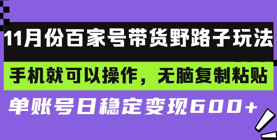（13281期）百家号带货野路子玩法 手机就可以操作，无脑复制粘贴 单账号日稳定变现…-靠谱项目库