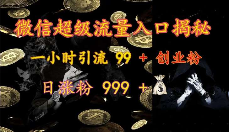 微信超级流量入口揭秘：一小时引流 99 + 创业粉，日涨粉 999 +-靠谱项目库