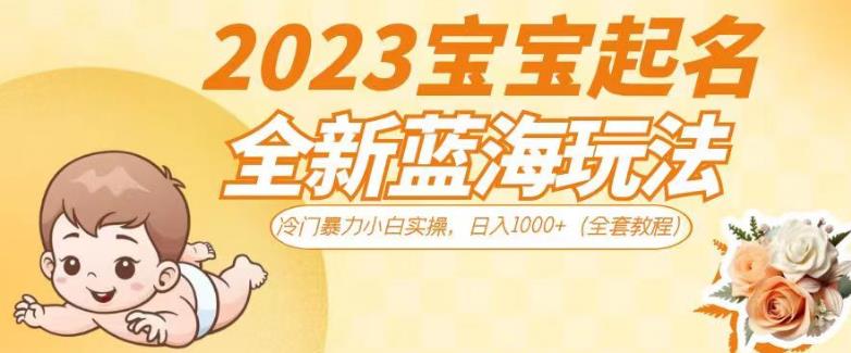 2023宝宝起名全新蓝海玩法，冷门暴力小白实操，日入1000+（全套教程）【揭秘】-靠谱项目库