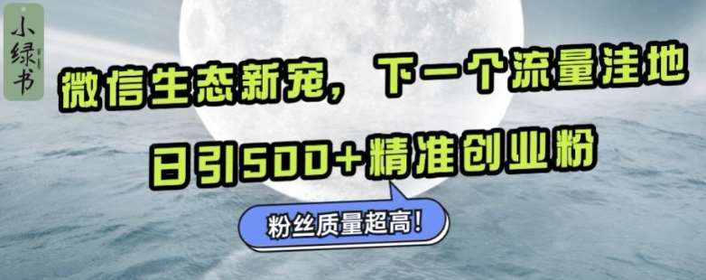 微信生态新宠小绿书：下一个流量洼地，日引500+精准创业粉，粉丝质量超高-靠谱项目库
