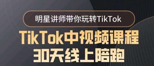 TikTok中视频课程30天线上陪跑，明星讲师带你玩转TikTok-靠谱项目库